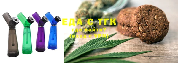 индика Балахна
