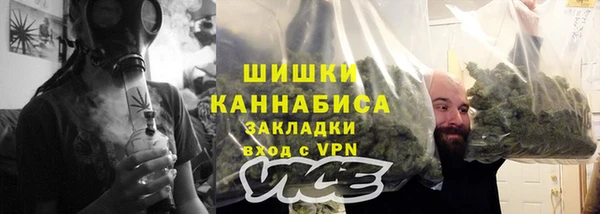 индика Балахна