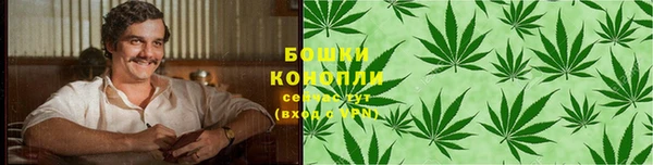 индика Балахна