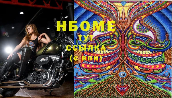 индика Балахна