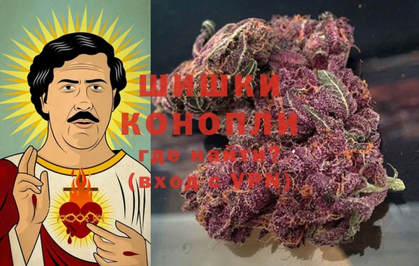 индика Балахна
