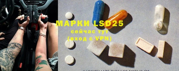 индика Балахна