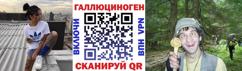 Галлюциногенные грибы Psilocybine cubensis  Купить где  Сосновый Бор 